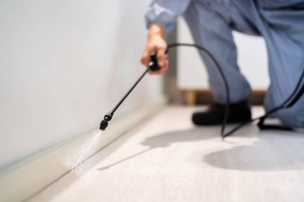 Professional exterminator conducting IPM assessment in Oregon