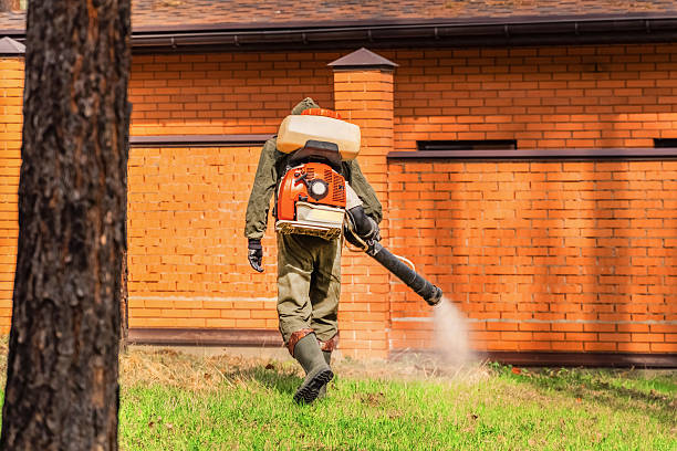 Bed Bug Clearance Verification and Documentation in Oregon